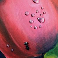 WhatsApp Image 2025-07-28 at 11.20.40 AM