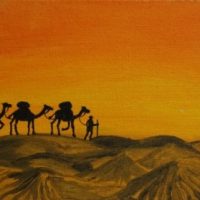 WhatsApp Image 2025-07-28 at 11.20.41 AM (1)